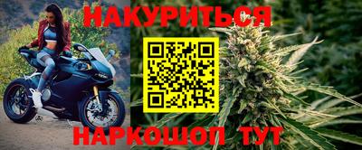 скорость Новозыбков