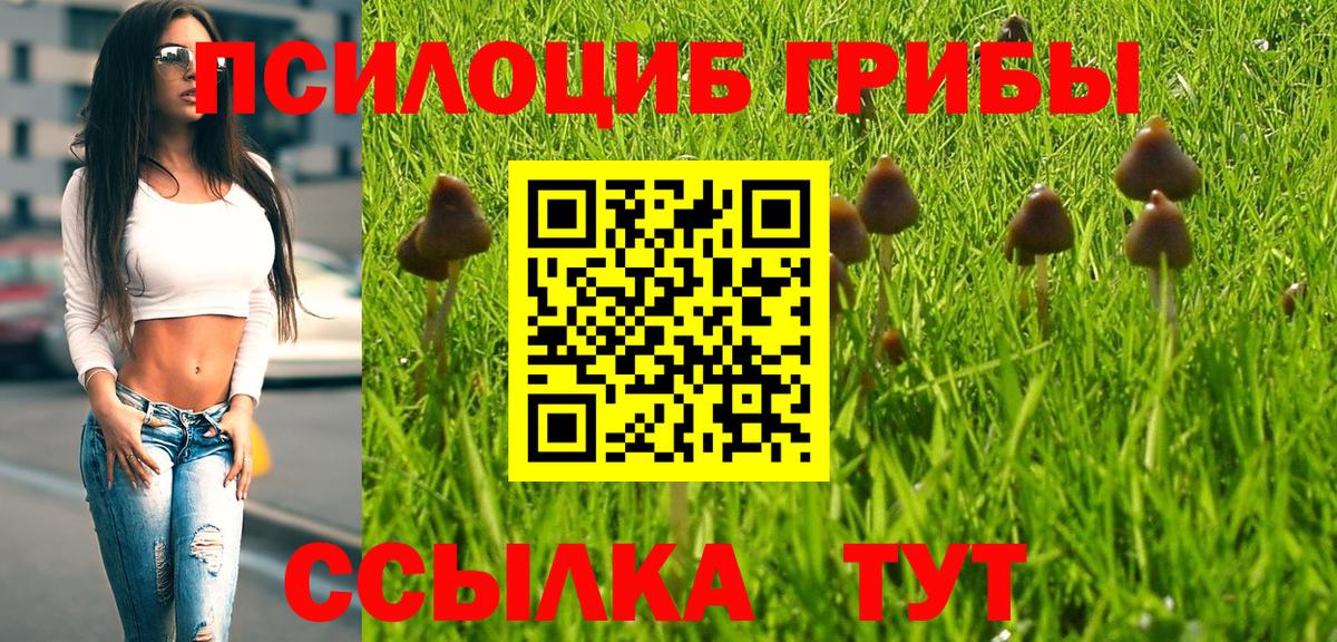 Псилоцибиновые грибы GOLDEN TEACHER Владимир
