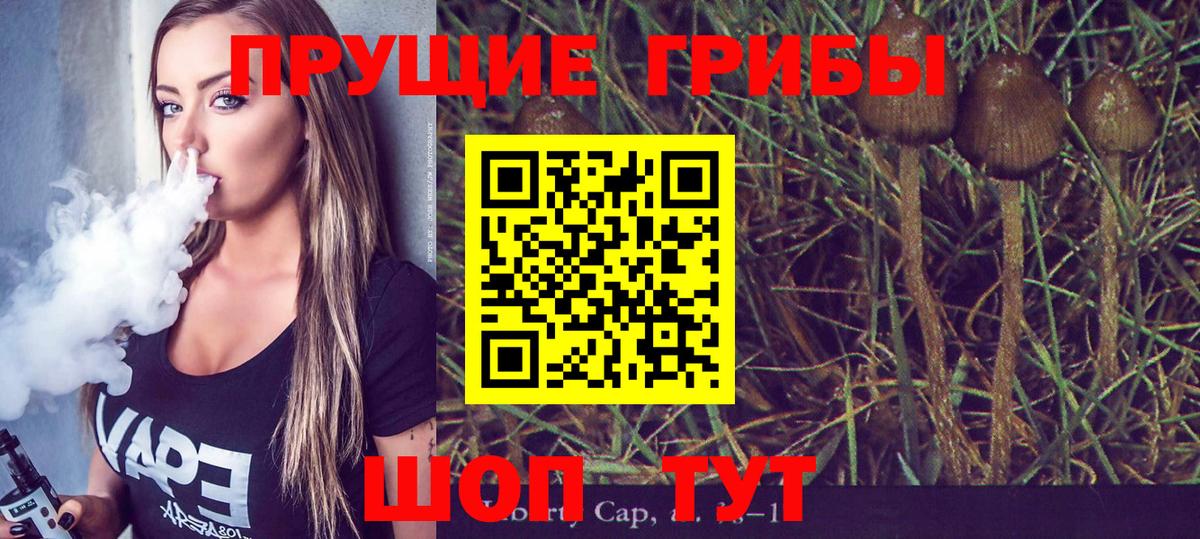 Владимир  Галлюциногенные грибы прущие грибы  Вход с VPN 